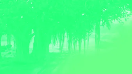 Cute Light Green Background - Free Background Download