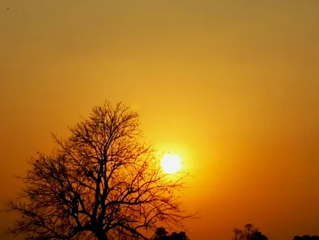 Free Sunset Background Photos - Free Background Download
