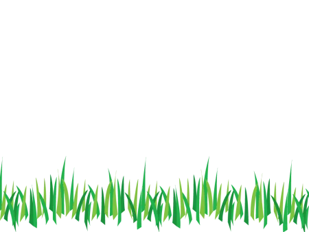 Grass PNG  Vector, PSD, Clipart with Transparent - Cloud Vector