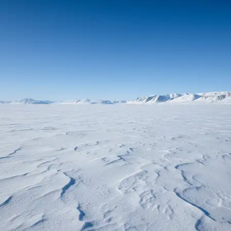 Free Abstract Snow Background Images Background Download