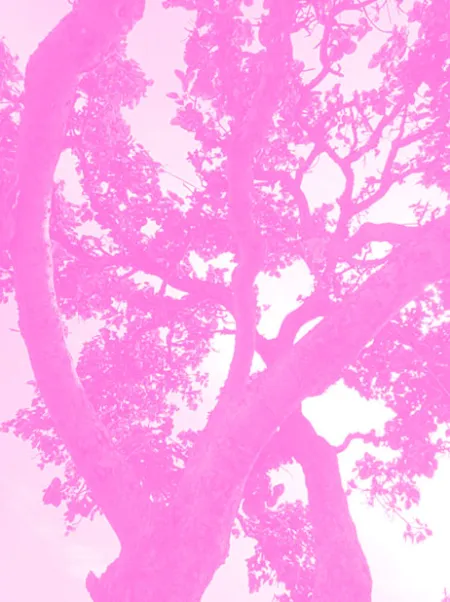 Pink Wallpaper Aesthetic - Free Pink Download
