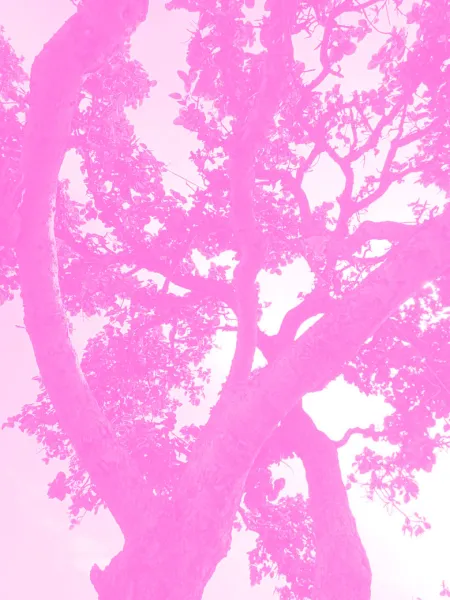Aesthetic Pink Wallpaper - Free Pink Download