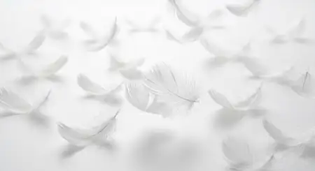 Free Aesthetic White Background Hd Wallpaper Background Image Download