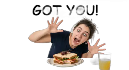 Free April Fools Day Png Images With Text Funny Transparent PNG Download