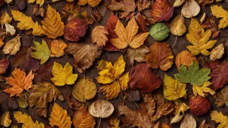 Autumn Background - Free Background Download