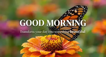 Beautiful Good Morning Images With Quotes Free - Free Good Morning Images With Quotes Download