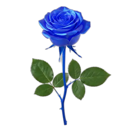 Blue Rose Png Transparent Background - Free Rose Png Download