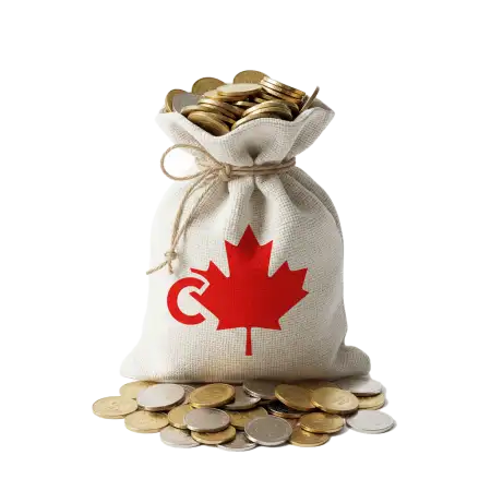 Free Canada Money Bag Png Transparent PNG Image Download