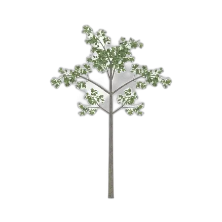 Free Cartoon Tree Png Transparent PNG Image Download