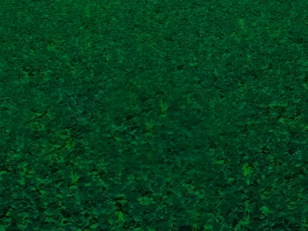 Dark Green Wallpaper Hd - Free Green Download