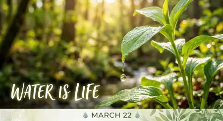 Eco Campaign Ideas For Brands - Free World Water Day 2026 Download