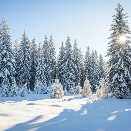 Free Fantasy Snow Background Images Background Download