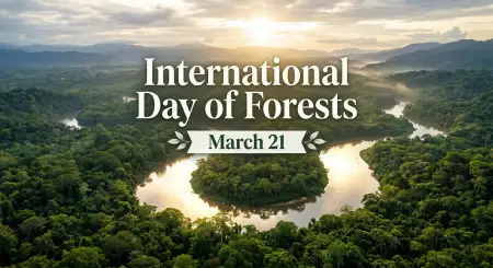 Forest Day Quiz Questions And Answers - Free International Day Of Forests Download