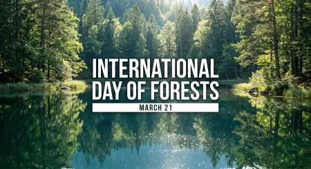 Forest Day Speech For School Students - Free International Day Of Forests Download