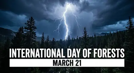 Forest Day Viral Post Ideas - Free International Day Of Forests Download