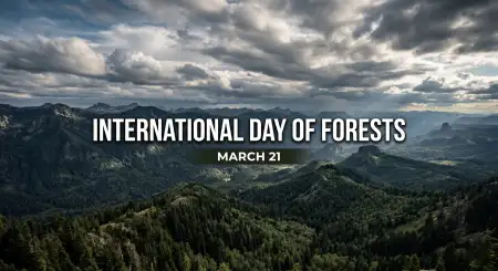 Forest Protection Slogans In English - Free International Day Of Forests Download
