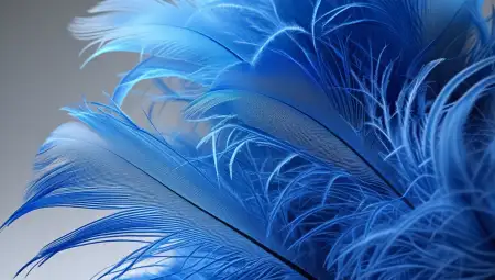 Free Blue Picture Hd Dslr Wallpaper Free Download - Free Blue Download