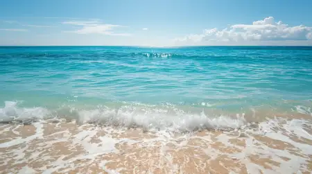 Free Blue Picture Hd Of Underwater Sea View - Free Blue Download