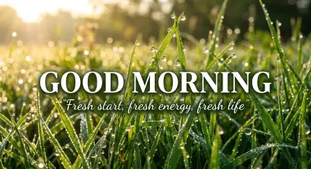Good Morning Images With Quotes Hd Download - Free Good Morning Images With Quotes Download