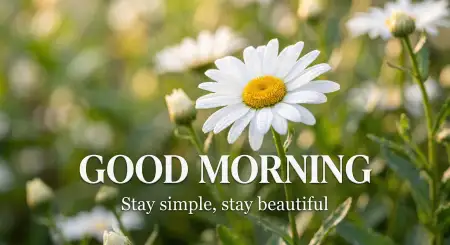 Good Morning Kiss Images With Quotes - Free Good Morning Images With Quotes Download