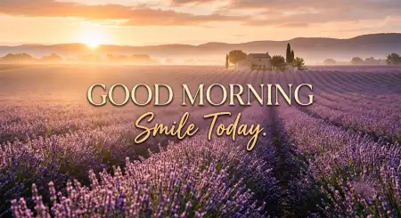 Good Morning Sunrise Status Images - Free Good Morning Sunrise Download