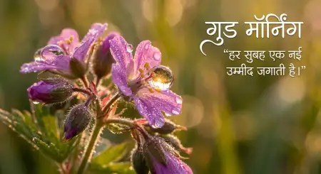 Free Good Morning With Flowers Images 2 Image Download