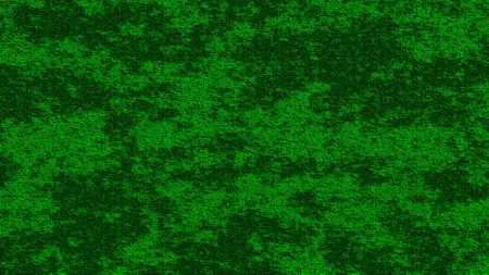 Green And Black Background Image - Free Background Download