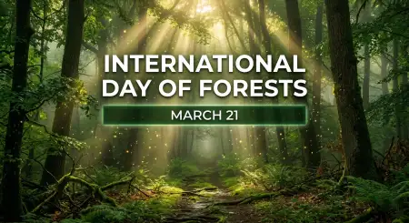 Green Forest Nature Poster Design Png - Free International Day Of Forests Download