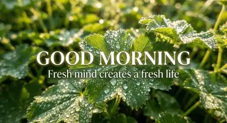 Green Nature Good Morning Images With Quotes - Free Good Morning Images With Quotes Download
