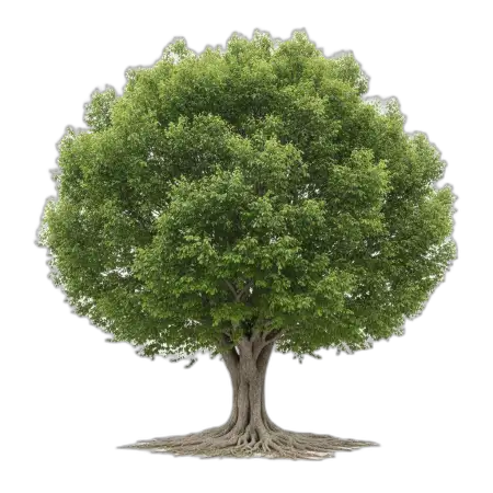 green tree png hd