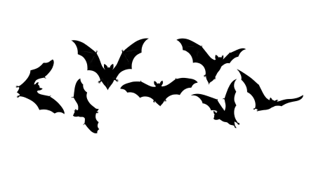 BACKGROUND