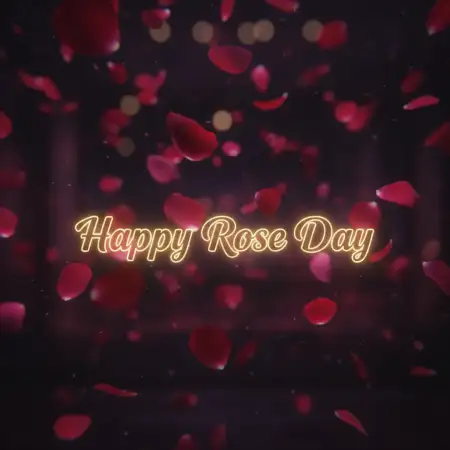 Happy Rose Day Background Image - Free Happy Rose Day Wishes Download