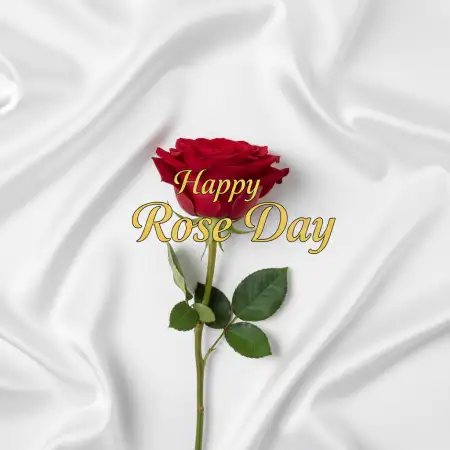 Happy Rose Day Digital Greeting - Free Happy Rose Day Wishes Download