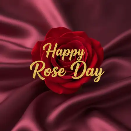 Happy Rose Day Rose Images - Free Happy Rose Day Wishes Download
