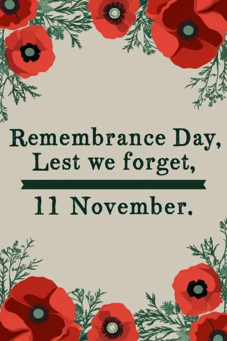 Free Hd Remembrance Day Soldiers’ Tribute Images Background Image Download