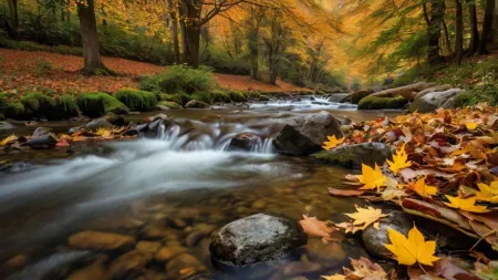 High-quality Autumn Backgrounds For Photography - Free Background Download