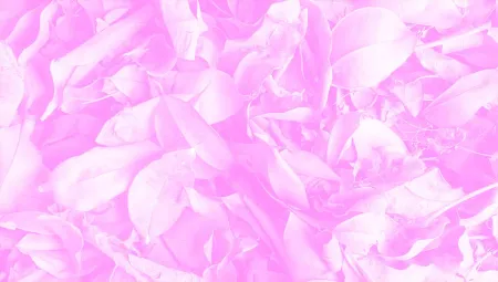 Hot Pink Wallpaper - Free Pink Download