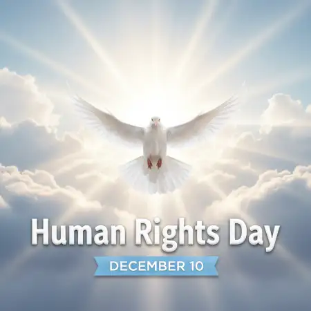 Free Human Rights Day Justice Balance Scale Png Background Download