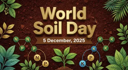 Importance Of Soil Conservation World Soil Day 2025 - Free World Soil Day 2025 Download