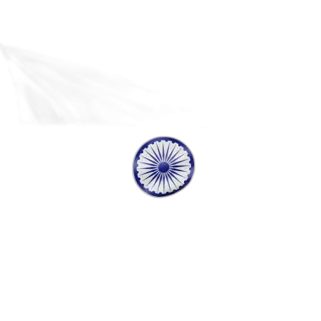 Indian Flag Png True Ashoka Chakra - Free Png Download