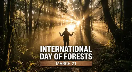 International Day Of Forests Poster Hd Images - Free International Day Of Forests Download