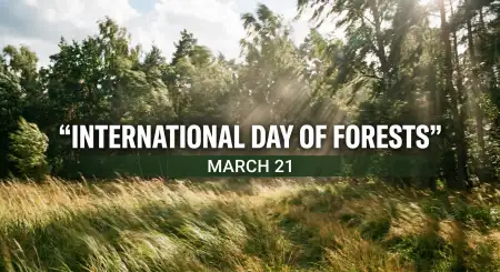 International Forest Day Date And Meaning - Free International Day Of Forests Download