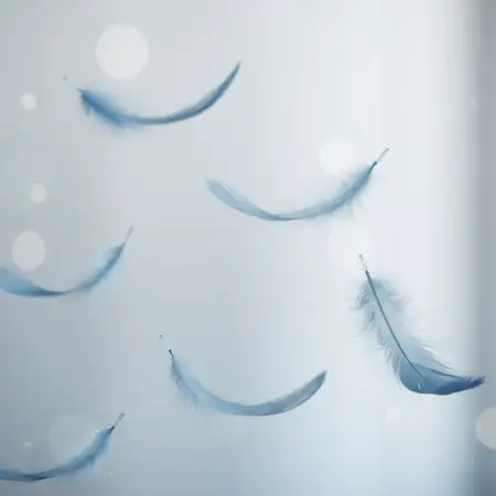 Free Light Blue Sky Evening Picture With Flying Birds Background Download