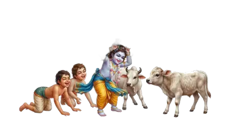 Little Krishna Png Transparent Background Janmashtami - Free Krishna Janmashtami Png 2026 Download