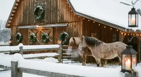 Merry Christmas Background With Gingerbread Man Theme - Free Merry Christmas Background Download