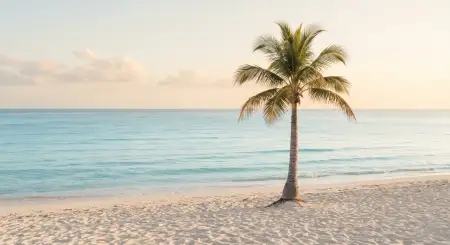 Minimalist Summer Aesthetic Wallpaper 2026 - Free Wallpaper Wallpaper Download