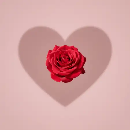 Modern Minimalist Valentines Day Background - Free Happy Valentines Day Background Hd Download