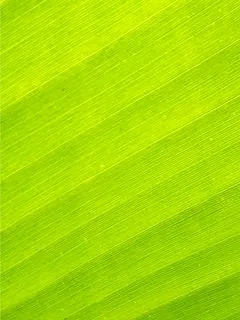Nature Wallpaper Hd For Mobile Free Download - Free Wall Download