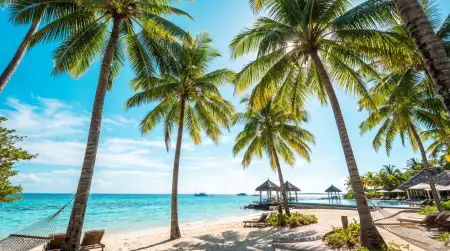 Palm Leaf Summer Aesthetic Wallpaper Hd - Free Wallpaper Wallpaper Download