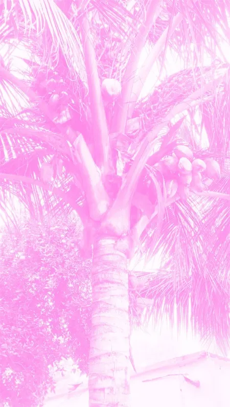 Pastel Pink Aesthetic Wallpaper - Free Pastel Pink Wallpaper Download